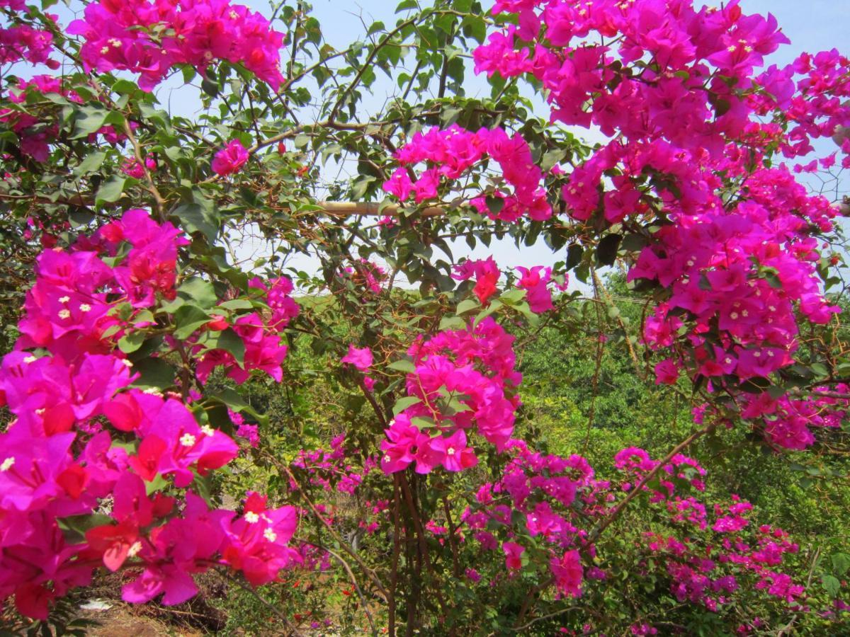 Namaste Yoga Farm Villa Gokarna  Exterior photo