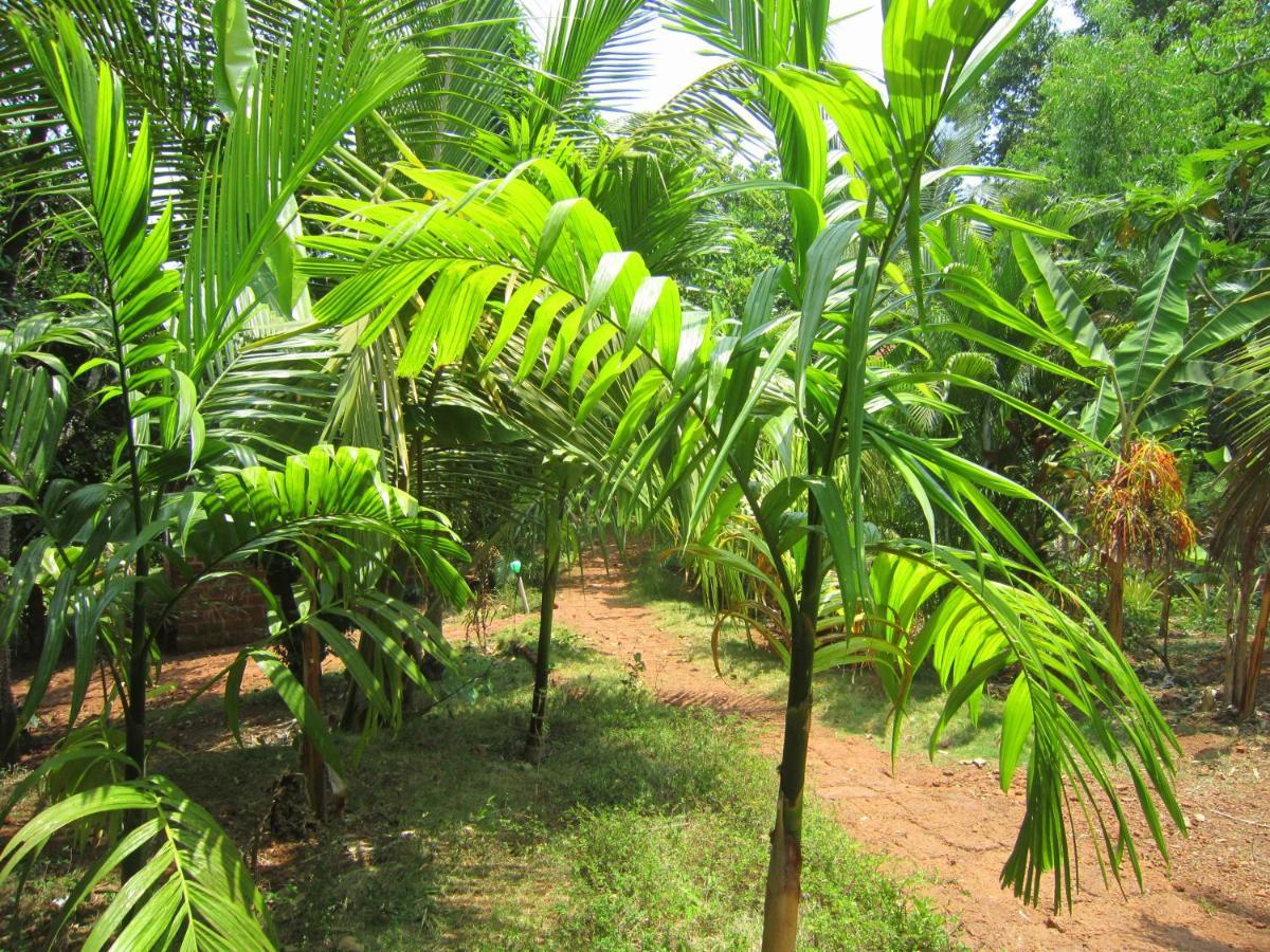 Namaste Yoga Farm Villa Gokarna  Exterior photo