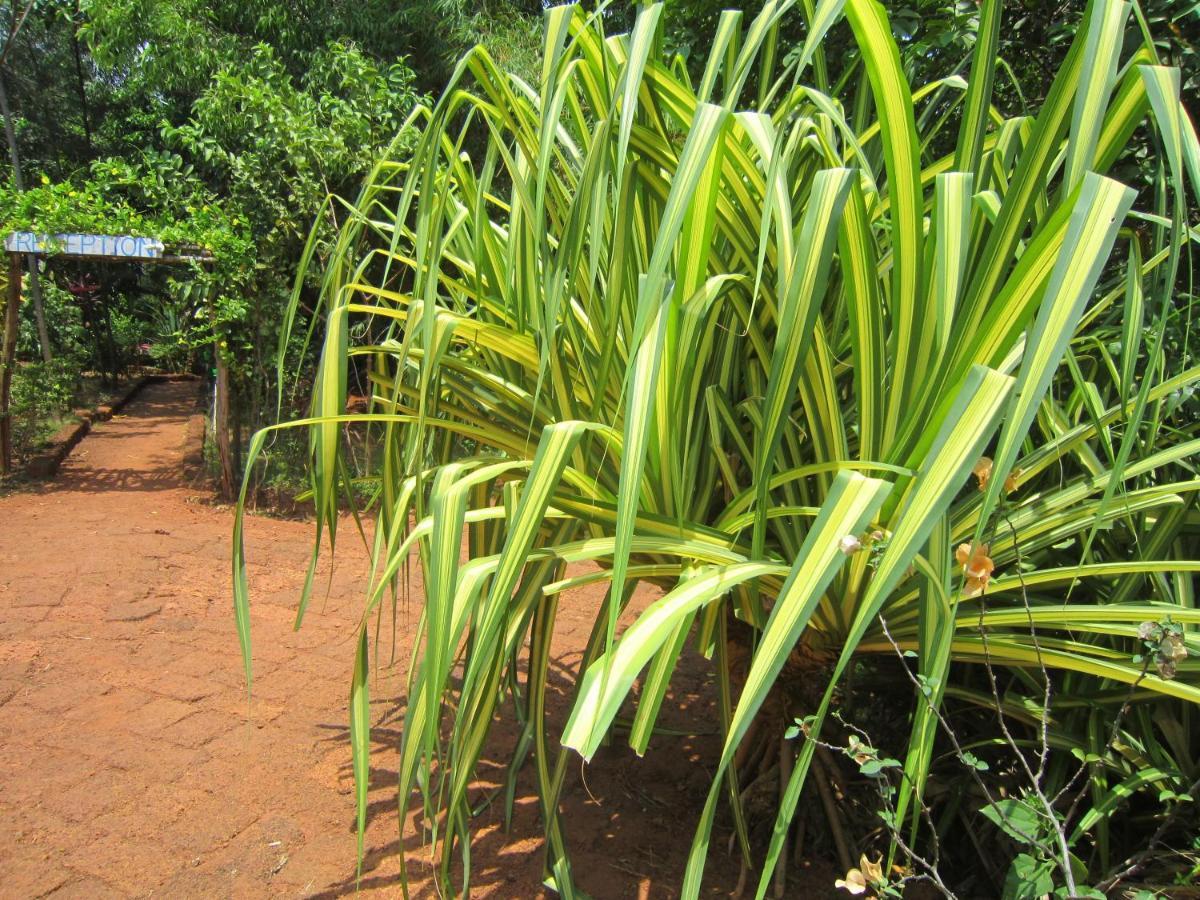 Namaste Yoga Farm Villa Gokarna  Exterior photo