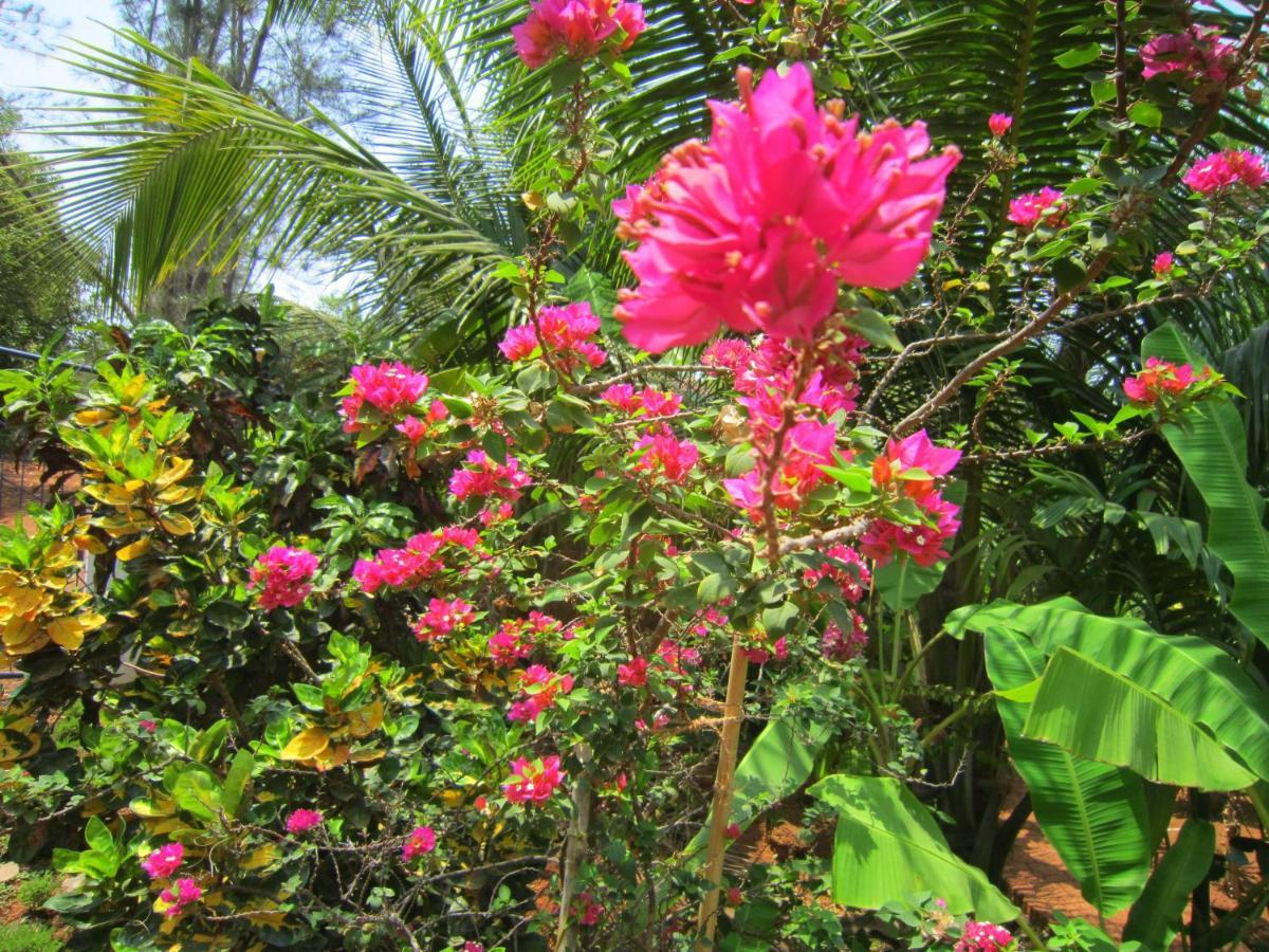 Namaste Yoga Farm Villa Gokarna  Exterior photo