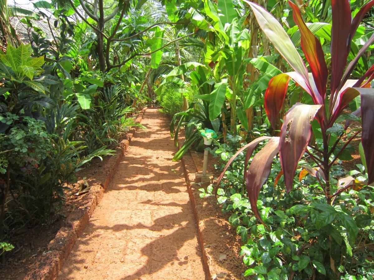 Namaste Yoga Farm Villa Gokarna  Exterior photo