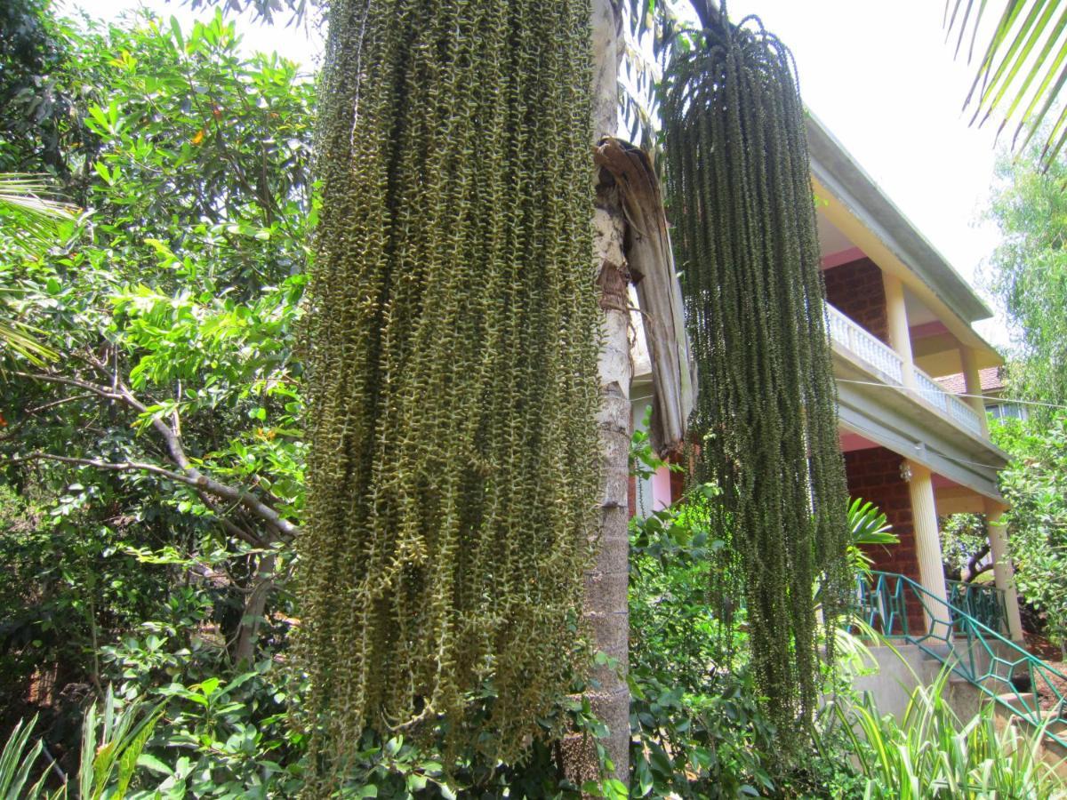 Namaste Yoga Farm Villa Gokarna  Exterior photo