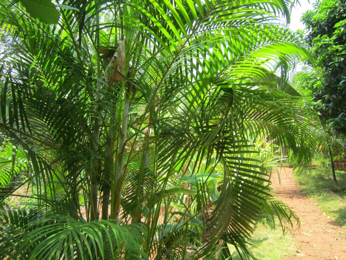 Namaste Yoga Farm Villa Gokarna  Exterior photo