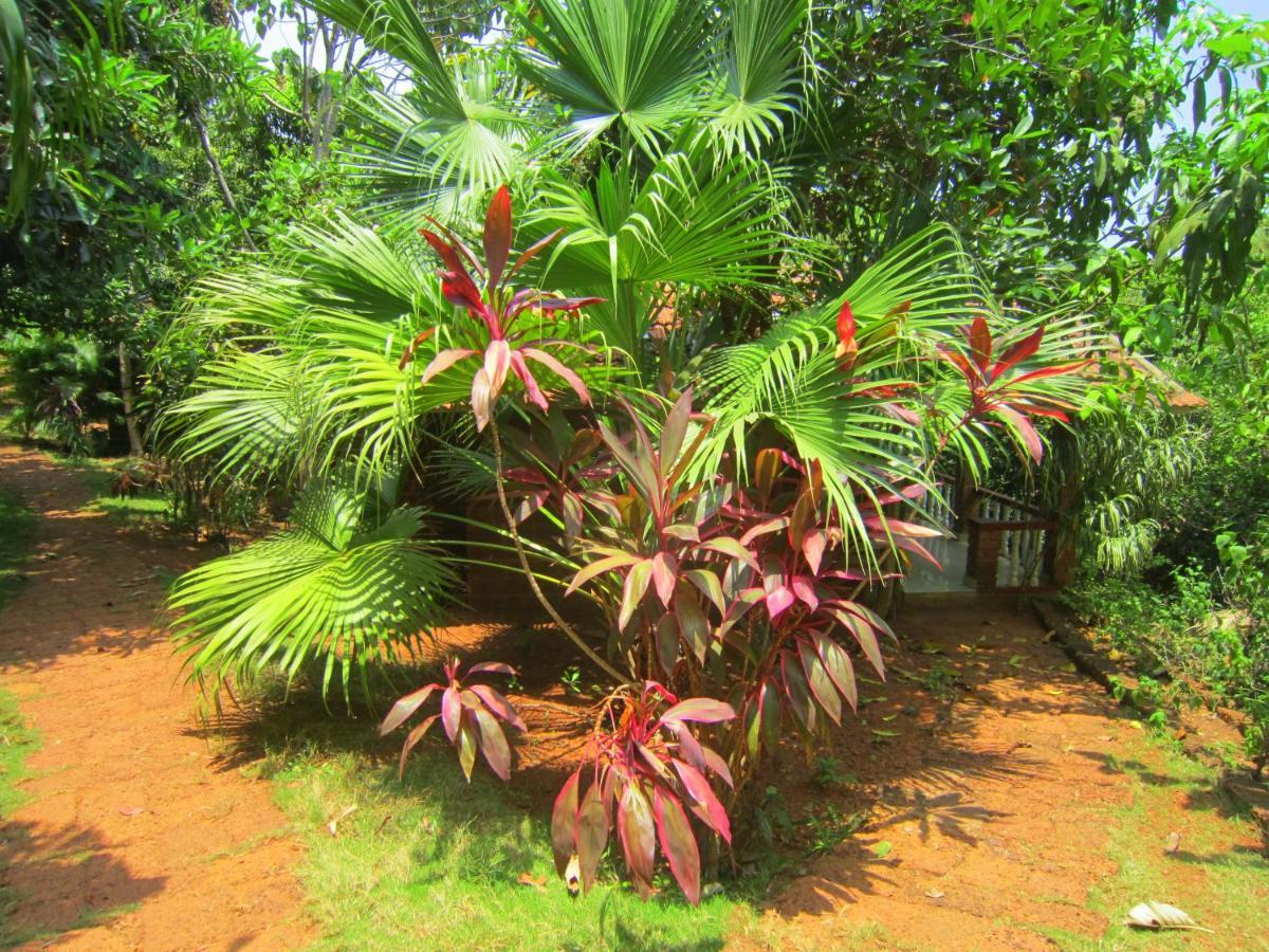 Namaste Yoga Farm Villa Gokarna  Exterior photo